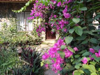 Mr. Viet home stay - Ninh Binh - 2