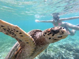 Star Bar and Bungalows - Gili Air - 5