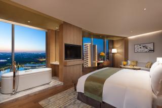 Holiday Inn Nanjing Qinhuai South by IHG - Jiangning - 8