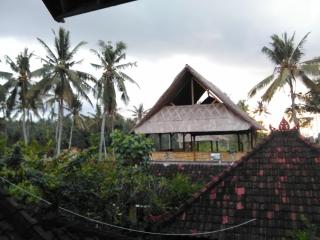 Pondok Diana - 1