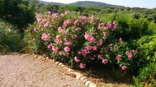 Villa Les hauts de Benista - 2