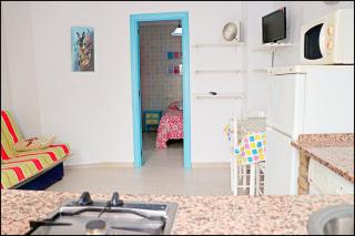 Apartamento cerca de la playa de Conil - Conil de la Frontera - 7