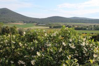 Agriturismo Podere Montenero - Alberese - 0
