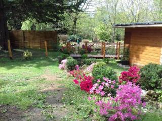 gite de beletou - Jourgnac - 4