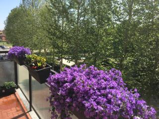 Four Rooms - Bolonia - 7