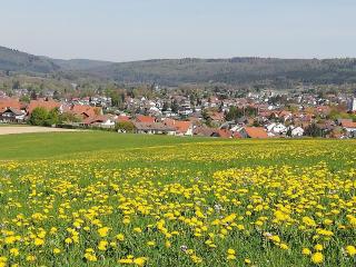 Annettes Ferienwohnung - Michelstadt - 6