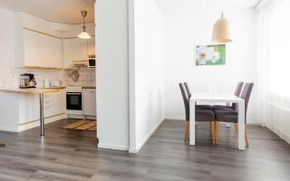 Torget Apartment Laululinna - Pori - 5