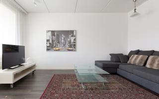 Torget Apartment Laululinna - Pori - 7