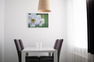 Torget Apartment Laululinna - Pori - 6