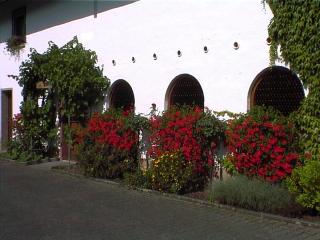 Weingut Arnold Pauly - Osann-Monzel - 8