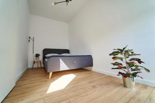 Apartamenty Muzyczna 14 - Suwałki - 1
