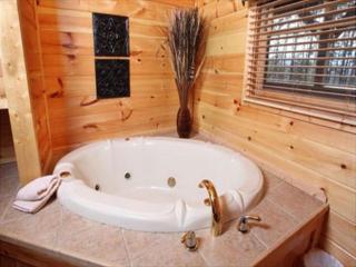 Spacious Party Hut Near Attractions - 3