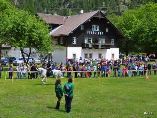 Ferienwohnungen Pflüglhof - 2