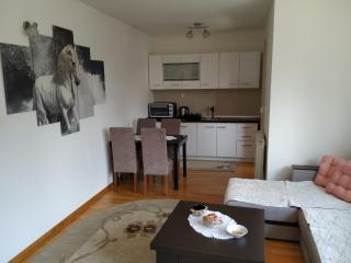 Apartman Lasofti - Zlatibor - 3