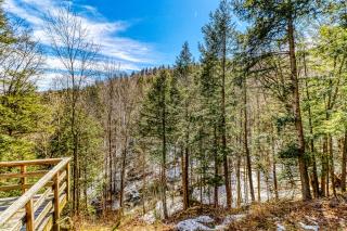 Grand Hollow Townhome - 4