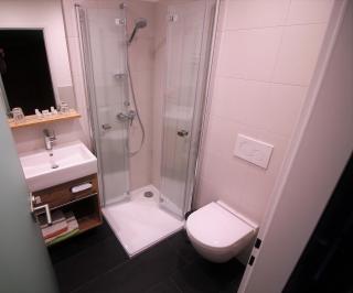 Hotel-Pension Birkenhof - 7