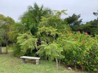 Ambiente Private Flat - Knysna - 1