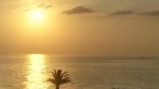 Panorama 29 - Miami Platja - 4