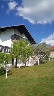 Apartment Silvia - Slunj - 8