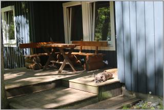 Exklusiver Bungalow direkt am Strand - Dranske - 5