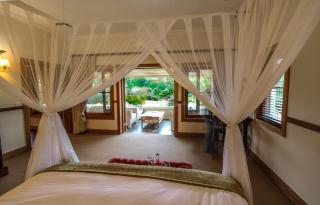 Dune Ridge Country House - St. Francis Bay - 4