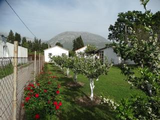 Apartman Zorana - Bar - 8