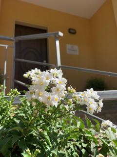 La Locanda di Campagna - Agropoli - 6