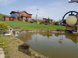 Sat de vacanta Ciprian Porumbescu - Suceava - 3