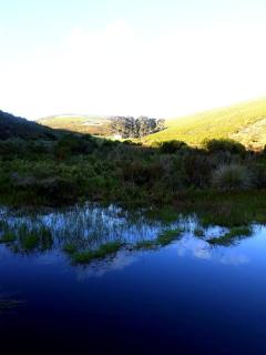 Laughing Waters Farm - Stanford - 1