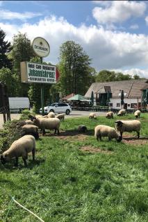 Hotel-Restaurant Johanniskreuz - Trippstadt - 2