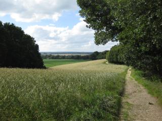 Atelierhaus Tannenweg - Worpswede - 4