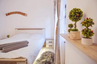 Fresh Studio in the heart of the Old Centre Sibiu - Sibiu - 8