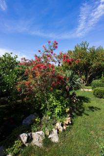 Apartmani Vesna - Grebaštica - 3
