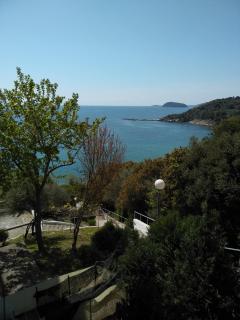 ABSOLUT VIEW - 2