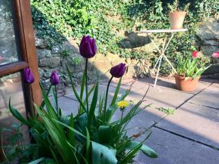 Secret Garden Cottage - 3