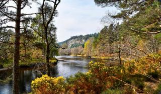 Hill cottage cabins - Fort Augustus - 1