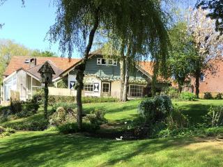 la maison du docteur - Heuvelland - 7