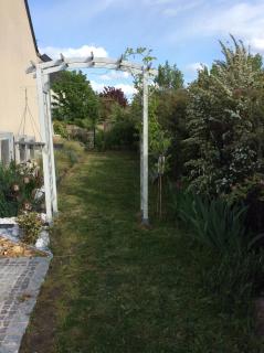 Tercier de vigne - Chécy - 8