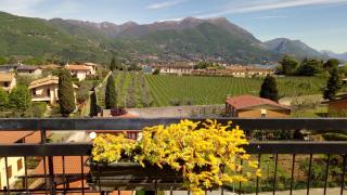 Portese la terrazza di Piero - San Felice del Benaco - 6