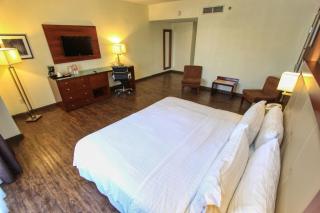 Holiday Inn Leon by IHG - León - 9