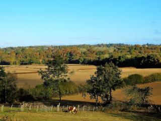 Bond's Cottage Barn - 6