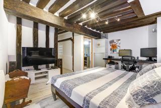 LUXURY LOFT CENTER OF PARIS - Paris - 2