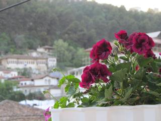 Apartment Koka - Berat - 0