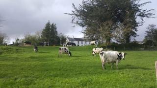 Gortamullen House, Kenmare - Kenmare - 1