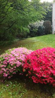Apartment near Villa Turgenev - Baden-Baden - 9