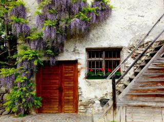 Fixlhof - Rifiano - 9
