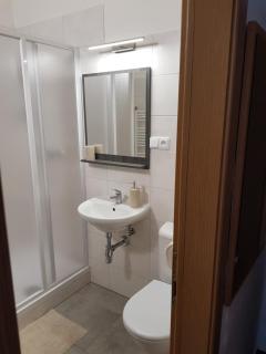 Pension U Dolezalu - Brno - 7