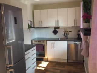 Stryn (10 min fra sentrum) stor og moderne leilighet - 2