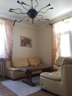 Old Town apartament - Šiauliai - 9
