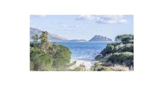 VILLA ARANZOS - Golfo Aranci - 8